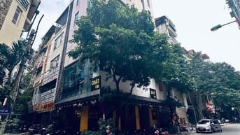 Chính Chủ Cho Thuê Căn Hộ Khép Kín Số 30 Mặt Phố Trần Quang Diệu.