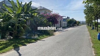 Đất thổ cư Thạnh Hội, mặt tiền đường dân sinh