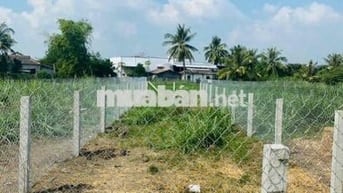 Đất sổ đỏ 188,7m2, Nở hậu, Xã Bình Phú, Huyện Gò Công Tây