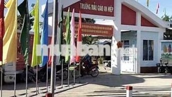 279 TRIỆU CẦN BÁN ĐẤT THỔ CƯ GẤP DO CHUYỂN CÔNG TÁC