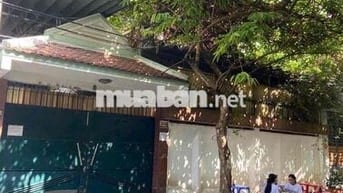 CHO THUÊ NC 800m2 HXT KHU LUỸ BÁN BICH
