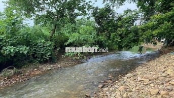 BÁN ĐẤT YÊN BÀI: MẶT ĐƯỜNG NHỰA 8M, BÁM SUỐI