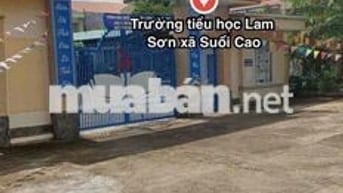 bán gấp trong tuần 1 lô 200m2 giá 400tr tại Đồng Nai dân cư hiện hữu