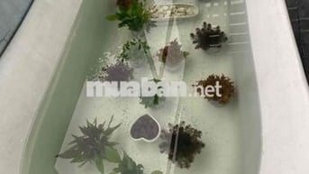 Siêu hiếm! Mặt tiền Nguyễn Trãi Q5 cực tốt. chỉ 21 tỷ xx