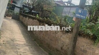 7.02 tỷ đất Kim Lâm,Kim Bài,Thanh Oai,gần Terlin 135m2,Vin Cao Viên