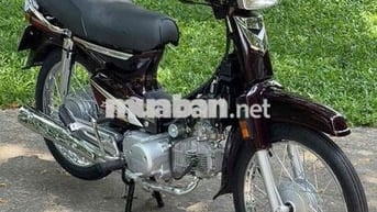 supper dream bstp 9 chủ