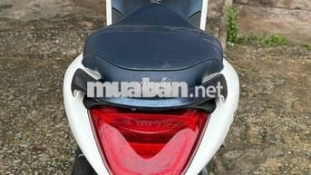 JANUS 2019 Biển thành phố