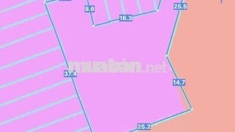 864m Full Thổ Cư Mặt Tiền Bàu Cát P14 Tân Bình