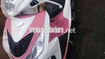 Xe Vision 2015