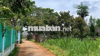 Thổ Cư Sổ Riêng chân Núi Chứa Chan Xuân Lộc Đồng Nai