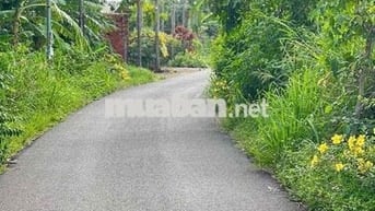 Sổ Riêng Thổ Cư mặt tiền Nhựa 5x33 ngay chân Núi Chứa Chan Xuân Lộc