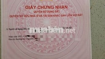 Đất thổ cư dự án Diamond City, Xã Đồi 61, Trảng Bom, Đồng Nai