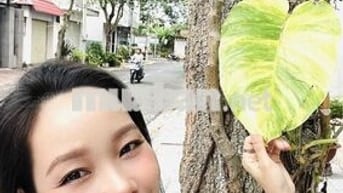 BÁN CĂN NHÀ MỚI 100% 2 TẦNG TP BÀ RỊA ĐƯỜNG ĐOÀN THỊ ĐIỂM