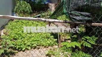 Hạ Giá bán đất gần Biển, hẻm Trần Quang Diệu- Bắc Nha Trang
