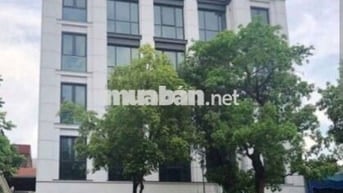 TÒA NHÀ MẶT TIỀN NGUYỄN TRI PHƯƠNG