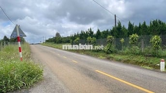 Đất Bảo Lộc - Phan Đình Phùng, 163m² (5mx31m) thổ cư, giá chỉ 1.3 tỷ