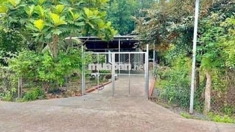 Gia đình cần tiền bán đất trả nợ