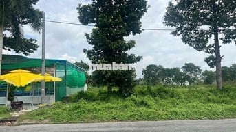 Bán 2 Nền Biệt Thự Đường lớn 47m Cạnh AEON MALL Siêu Thị Nhật Bản