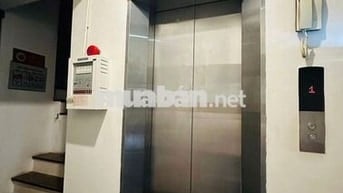 🏠 Nhà Đẹp Linh Lang, Ba Đình – 52m², 6T, MT 3.55m, Giá 23.5 Tỷ 💎