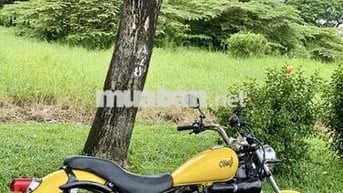 yamaha virago 125
