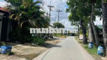 Cần Bán gấp 100m2 giá 1ty650 full thổ shr