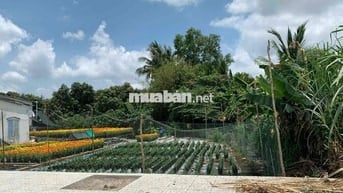 nền biệt thự 10x25 bờ kè Cái Sơn- Mương Khai lộ 14m giá 7,5 tỷ