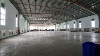 Cho thuê kho 8.000m² KCN Hải Sơn, Long An, PCCC tự động, trạm 1.000kva