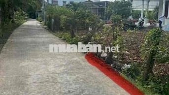 Ấp 7 Nhựt Chánh, Bến Lức ,Long An