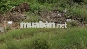 Đất lẻ mặt tiền Đ.Tân Liêm , Phong Phú ,Bình Chánh Full thổ
