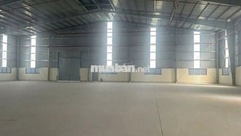 Cho thuê kho xưởng 3.300m² trong KCN Tây Ninh, PCCC tự động, công 24h