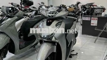 🇻🇳Sh150 abs 2017 bs Thành phố bạc Potcher