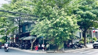 CẦN SANG QUÁN CAFE GÓC 2MT LỢI NHUẬN CAO VÀ ỔN ĐỊNH TẠI P.TÂN KIỂNG Q7