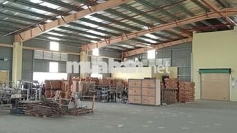 Cho thuê kho xưởng tại cảng quốc tế Cái Mép phú mỹ 1000m2 đến 10.000m2