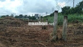 Nhận xây theo yêu cầu, cho thuê kho xưởng , trong KCN Tân Đô ,Tây Ninh