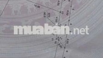 💥 CẦN TIỀN BÁN GẤP 👉 56,5m CHƯƠNG DƯƠNG - THƯỜNG TÍN 
** Diện tích: