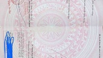 Bán Đất tại Phường 2, Bảo Lộc, Lâm Đồng, giá ưu đãi 650 triệu, 102.6m2
