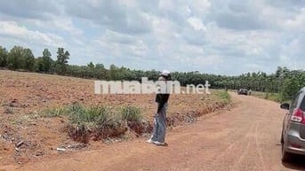 Chú em cần tiền gấp để chữa bệnh cần bán gấp 3000m2 giá 530tr