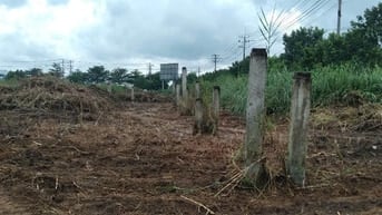 Nhận xây theo yêu cầu, cho thuê kho xưởng , trong KCN Tân Đô ,Tây Ninh