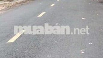 Cho thuê nhà phường An hội (phường 3 thành phố bến tre) tỉnh vĩnh long