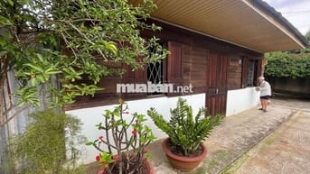 Nhà thổ cư 369m² Phan Chu Trinh – Lộc Tiến, gần Nhà thờ Tân Hà, 3.2 tỷ