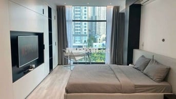 Cho Thuê Căn Hộ 1PN Rộng 80m ở Điện Biên Phủ, Quận Bình Thạnh