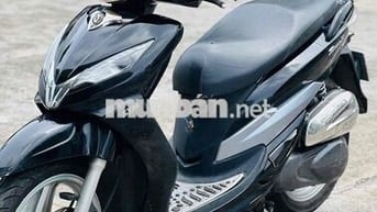 SYM shark biển 71