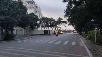 Cho thuê nhà phố kinh doanh phố Việt Hưng 90 m , vỉa hè rộng 3 thoáng