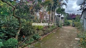 Bán Đất 82m Mặt Tiền QL28,thổ cư,5000m2 phương Bắc Gia Nghĩa chỉ 28 tỷ
