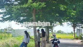 Chính chủ bán full thổ 125m2  ngay KCN Long Hậu