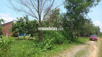 Bán gấp 1685m2 (300m2 thổ cư), Định Quán, Đồng Nai, sổ hồng riêng