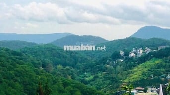 Đất nền có vị trí tại Đường Khe Sanh, Phường 10, Đà Lạt, Lâm Đồng.