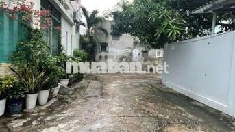 HÀNG THƠM TÂN PHÚ nhanh tay liên hệ em