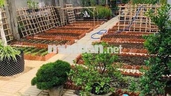 Bán Đất Tặng Vườn Rau Sạch Ngay Đường Linh Đông-Thủ Đức Bao Đẹp