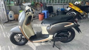 scoopy 2023